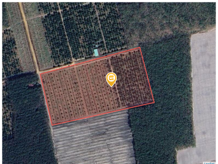 Bán đất 25988.1m² giá 2.6 tỷ tại Xã Thạnh Tây Huyện Tân Biên