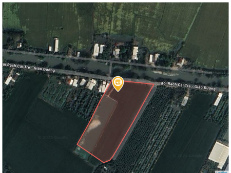 Bán đất 130105m² ngang 84m giá 3.2 tỷ tại Xã Bình Thành Huyện Thanh Bình