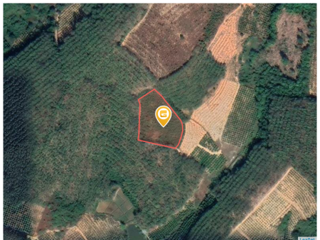 3857.6m² tại Xã Sa Nghĩa Huyện Sa Thầy