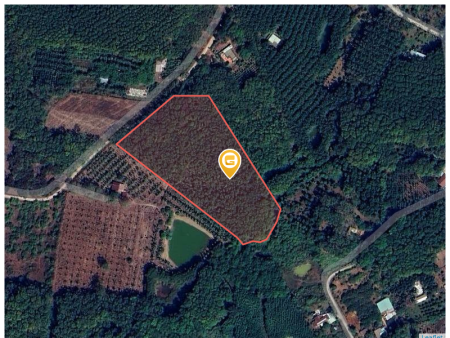 Bán đất 13114.8m² ngang 72m giá 6.8 tỷ tại Xã Thanh Lương Thị xã Bình Long
