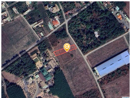 Bán đất 1244.3m² ngang 16m giá 4.6 tỷ tại Xã Long Phước Huyện Long Thành