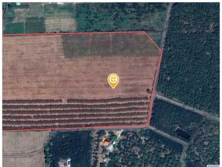 Bán đất 76862.9m² giá 29 tỷ Xã Bàu Lâm