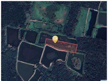 Bán đất 6500m² đất lúa giá 6.5 tỷ Xã Nhơn đức  ( chỉ 1tr/m2)
Lh Ms Hường 0898231415 xem đất