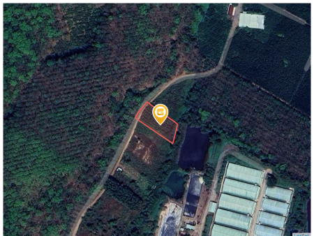 Bán đất 1812.5m² giá 13.5 tỷ Xã Bắc Tân Uyên