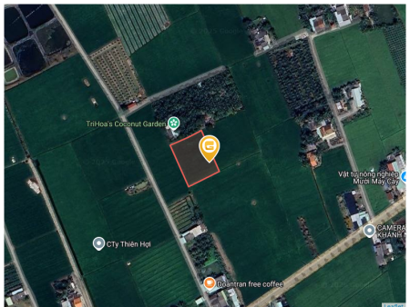 Bán đất 2000m² tại Xã Tân Phước Tây Huyện Tân Trụ