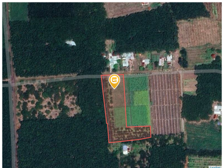 0814 313131 Bán đất 3945m² giá 850 triệu Xã Đồng Phú