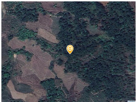 Bán đất 2.000m² ngang 100m giá 2 tỷ Xã Lũng Cú