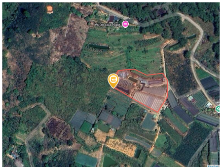 Bán đất 64000m² giá 14 tỷ Phường Xuân Hương - Đà Lạt