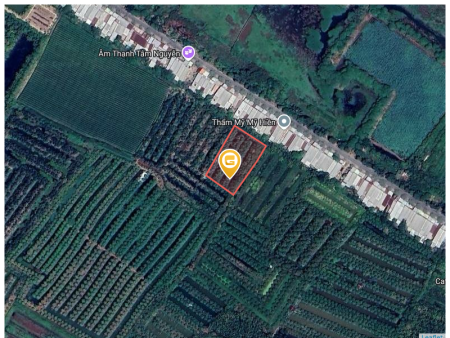 Bán đất 22580m² tại Thị trấn Thanh Bình Huyện Thanh Bình