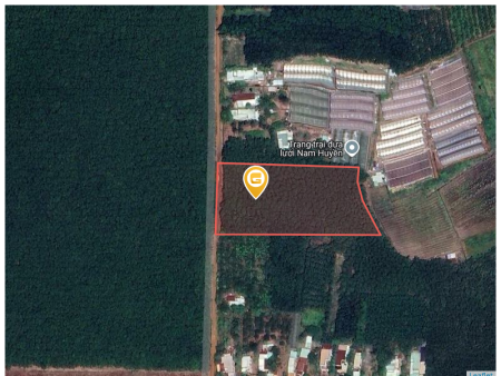 Bán đất 9005m² giá 20 tỷ Xã Phú Giáo