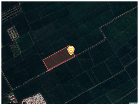 Bán đất 41175m² ngang 41,7m giá 1.6 tỷ Thành phố Hồng Ngự