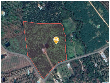 Bán đất 30918.4m² giá 89.66 tỷ Xã Bàu Lâm