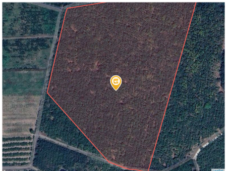 Bán đất 75288.8m² ngang 243m giá 215.33 tỷ Xã Bàu Lâm