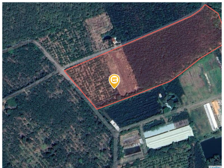 Bán đất 32304.4m²  Xã Bàu Lâm