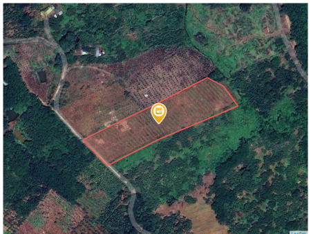 Bán đất 11000m² ngang 55m giá 3.9 tỷ Xã Tân Hưng