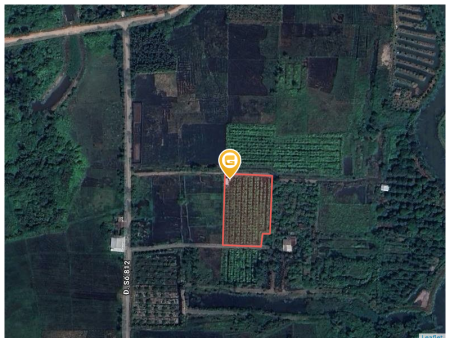 (L482) Đất gần sông Sài Gòn, xã Phú Mỹ Hưng, dt 3.579m2, giá chốt 3 tỷ 800
