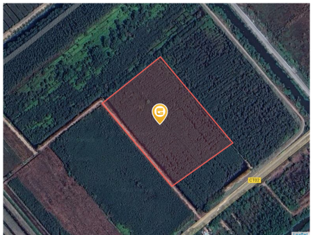 Bán đất 18397.7m² ngang 115m giá 36.8 tỷ Xã Thạnh Lợi