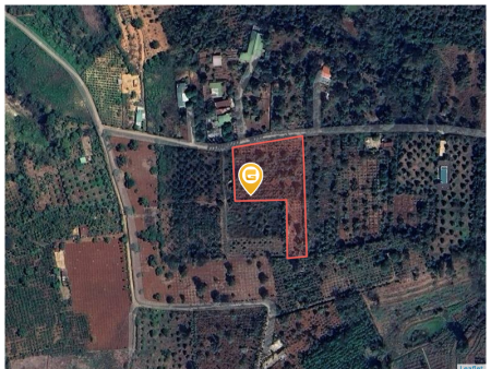 1 sào đất full Hồng 1000m² hẻm 190 Trần Quý Cáp ngang 10m giá 1.29 tỷ Phường Tân Lập