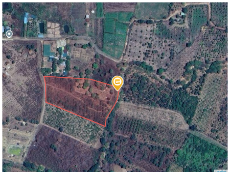 Đất 3000m² View Suối Đá cực đẹp ngang 55m giá 1.79 tỷ Xã Ea Nuôl