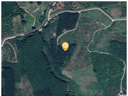 Bán đất 20000m² ngang 150m giá 3 tỷ Xã Nam Dương