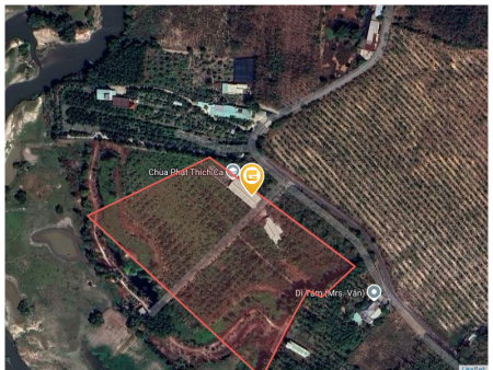Bán đất 24181.9m² Xã Long Hòa