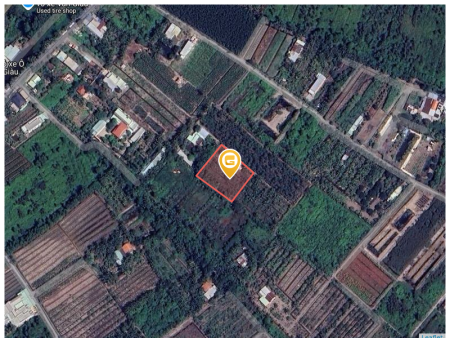 Bán đất 1746m² ngang 42m giá 3.5 tỷ Xã Thạnh Lợi