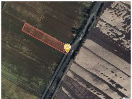Bán đất 2600m² ngang 28m giá 500 triệu Xã Phong Mỹ