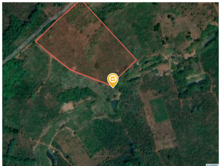 Bán đất 19564.7m² ngang 50m giá 1 tỷ Xã Đắk Song