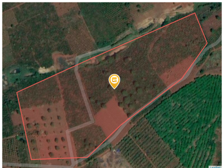 Bán đất 42000m² Xã Đức Lập