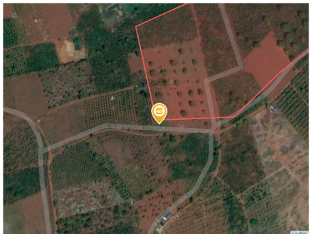 Bán đất 42000m² Xã Đức Lập