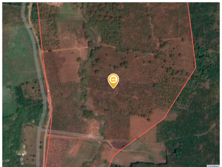 Bán đất 160000m² ngang 1000m giá 7 tỷ Xã Đắk Song