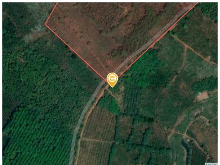 Bán đất 154845.3m² ngang 1000m giá 6 tỷ Xã Đắk Song