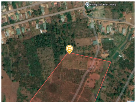 Bán đất 160000m² ngang 1000m giá 8 tỷ Xã Đắk Song