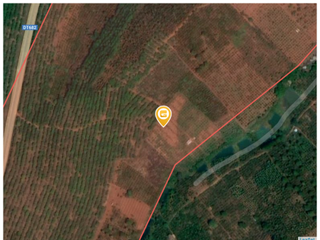 Bán đất 230000m² ngang 1500m giá 15 tỷ Xã Đắk Song