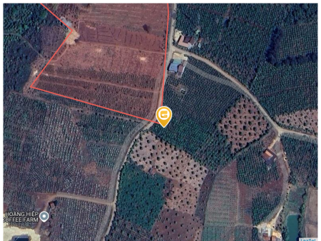 Bán đất 200000m² ngang 1500m giá 12 tỷ Xã Đắk Sắk