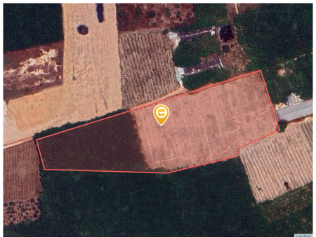 Bán đất 29000m² ngang 350m giá 25 tỷ Phường Long Nguyên