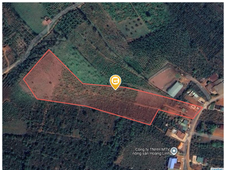 Bán đất 19636.4m² ngang 15m giá 5.5 tỷ Xã Đức An