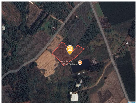 Bán đất 4175.5m² giá 5 tỷ Xã Dầu Giây
