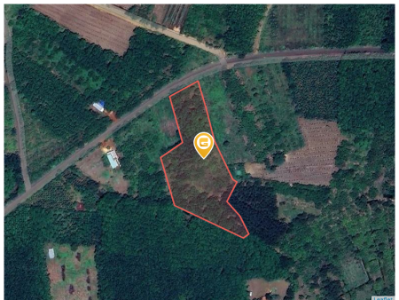 Bán đất 8893.7m² ngang 32m giá 4.6 tỷ Xã Tân Hưng