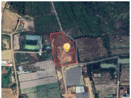 Bán đất 8176m² ngang 80m giá 1.04 tỷ Xã Ea Na