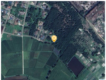 Bán đất 1000m² ngang 20m giá 100 triệu Xã Triệu Cơ