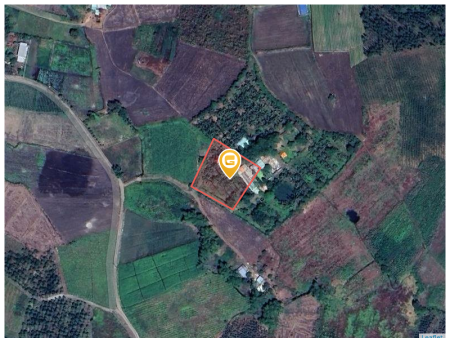 Bán đất 3500m² ngang 60m giá 2.4 tỷ Xã Xuân Đông