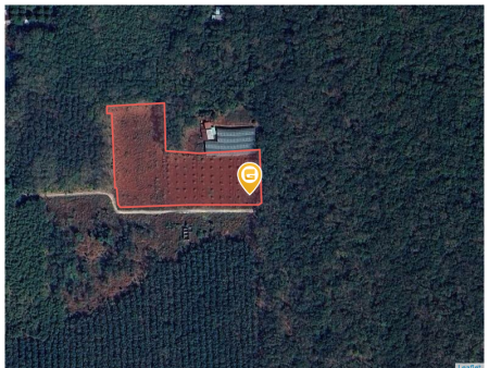 Bán đất 9389.8m² ngang 128m giá 5.8 tỷ Phường Bình Long