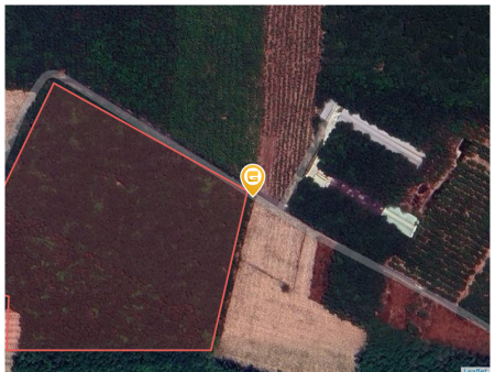 Bán đất 50000m² ngang 400m giá 85 tỷ Phường Long Nguyên