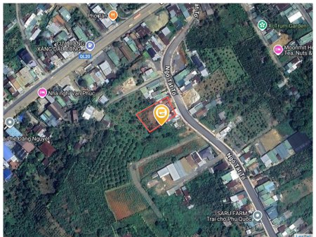 Bán đất 5500m² giá 10.8 tỷ Phường 3 Bảo Lộc