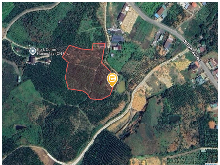 Bán đất 18000m² giá 4.5 tỷ Phường 3 Bảo Lộc