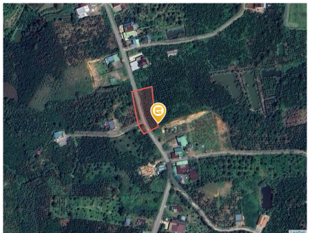 Bán đất 2500m² giá 2.4 tỷ Phường 3 Bảo Lộc