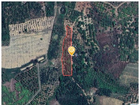 Bán đất 6300m² giá 1 tỷ Xã Hòa Phú