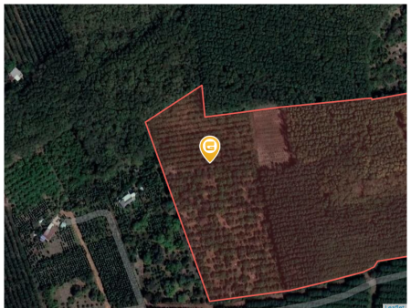 Bán đất 1085m² ngang 10m giá 170 triệu Xã Đồng Phú