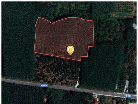 Bán đất 1085m² ngang 10m giá 170 triệu Phường Bình Phước